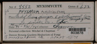 Image Associated With the Occurence